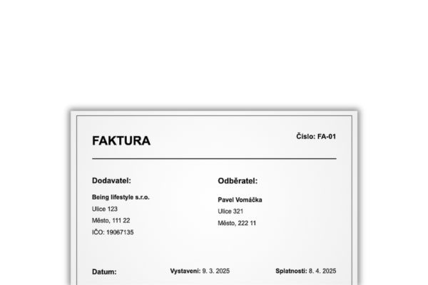 Ukázka faktury